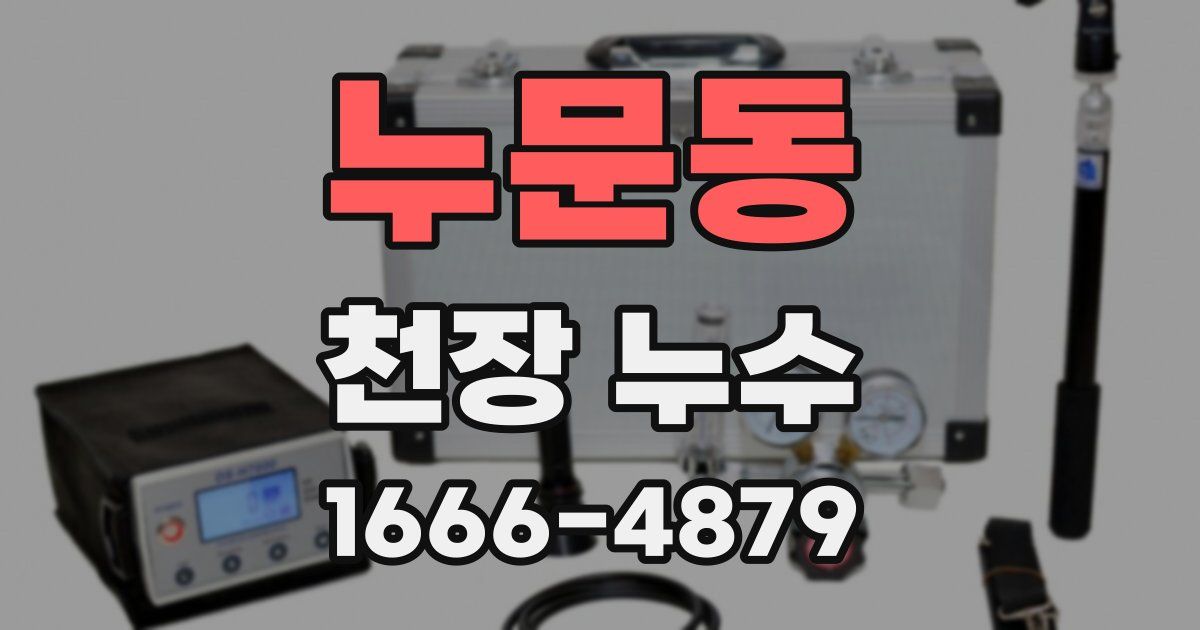 누문동 천장 누수