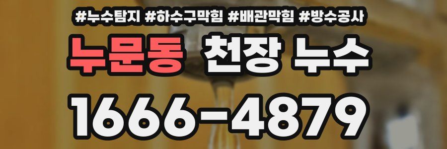 누문동 천장 누수