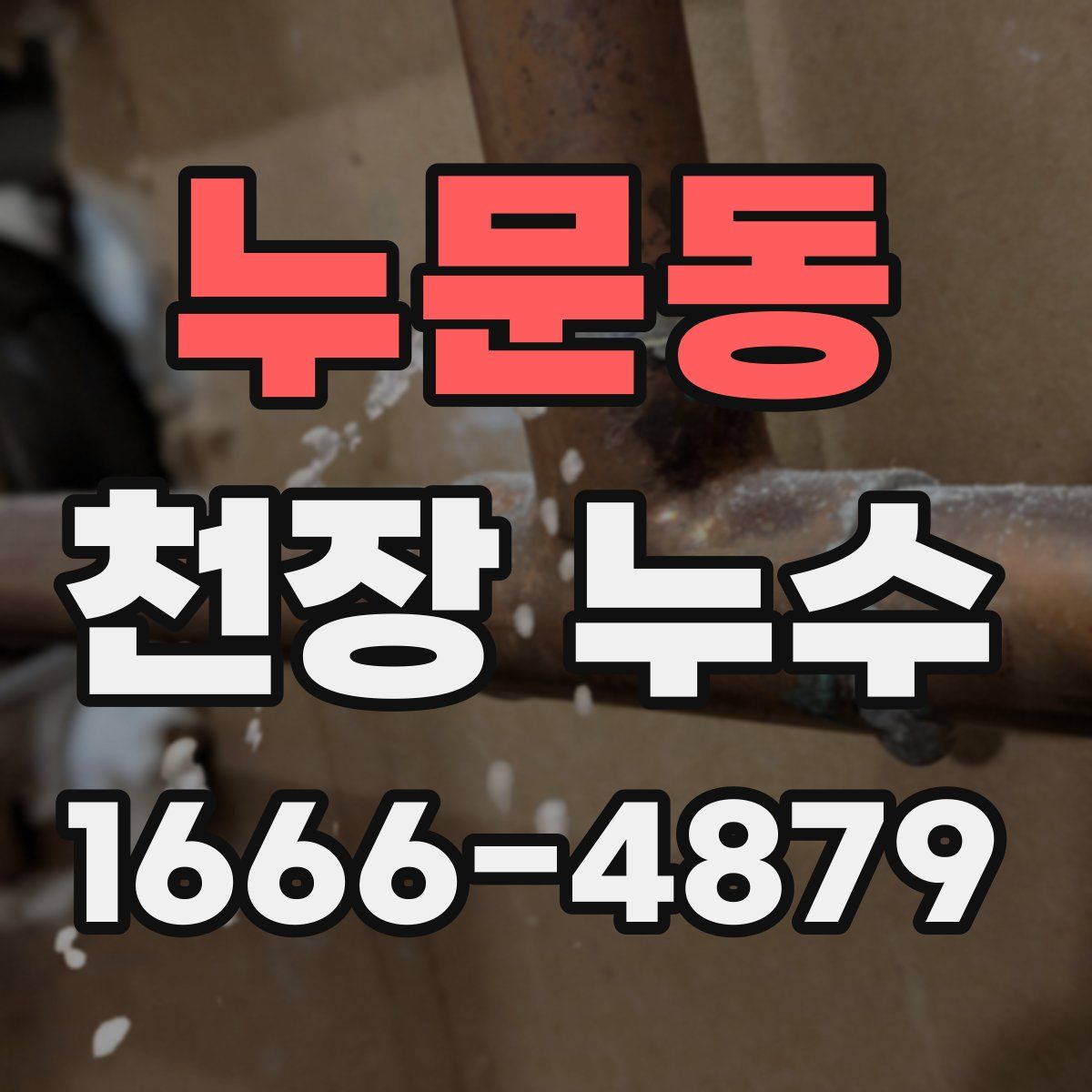 누문동 천장 누수