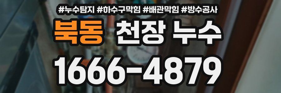 북동 천장 누수