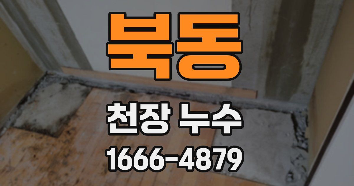 북동 천장 누수