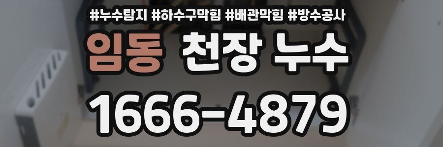 임동 천장 누수