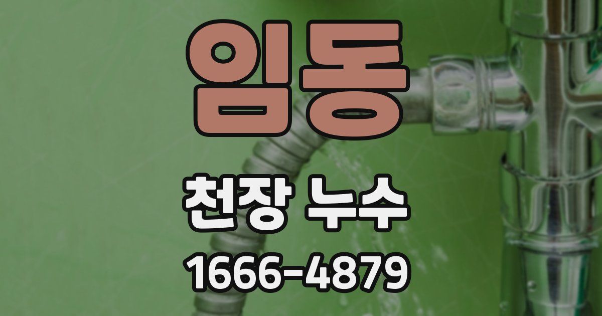 임동 천장 누수