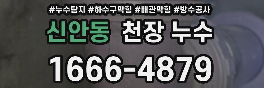 신안동 천장 누수