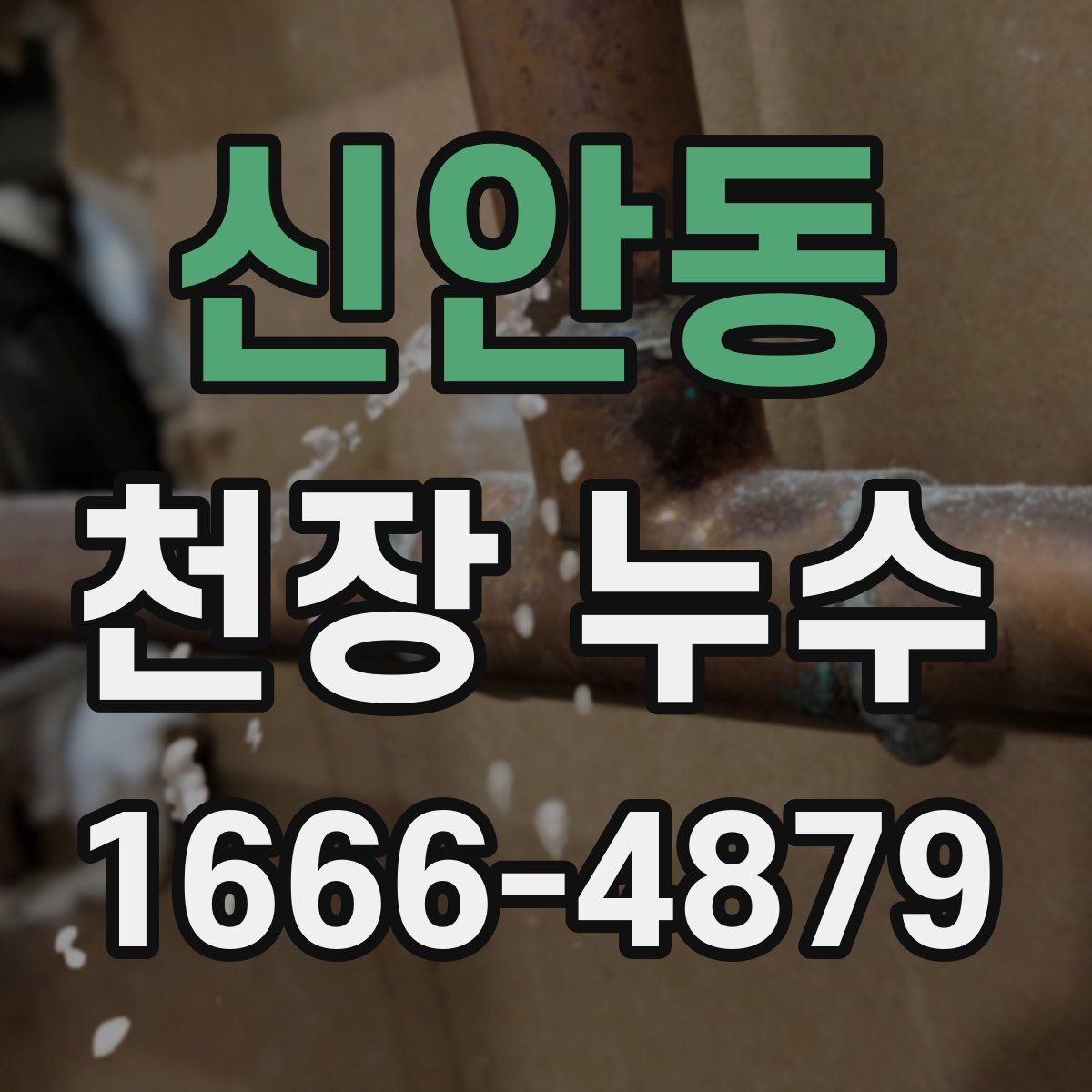 신안동 천장 누수