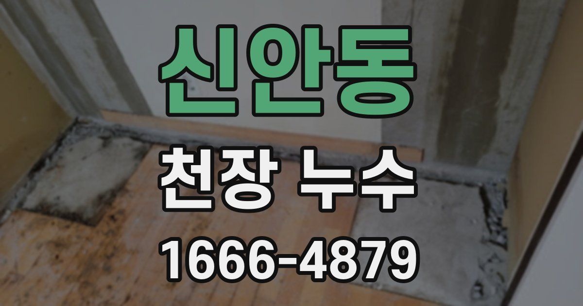 신안동 천장 누수