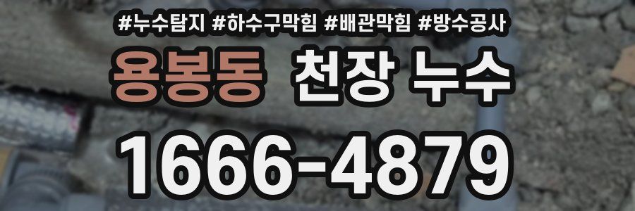 용봉동 천장 누수