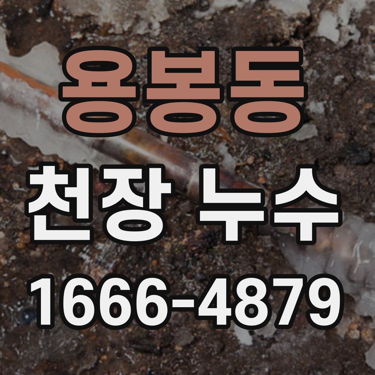 용봉동 천장 누수
