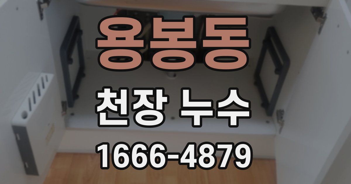 용봉동 천장 누수