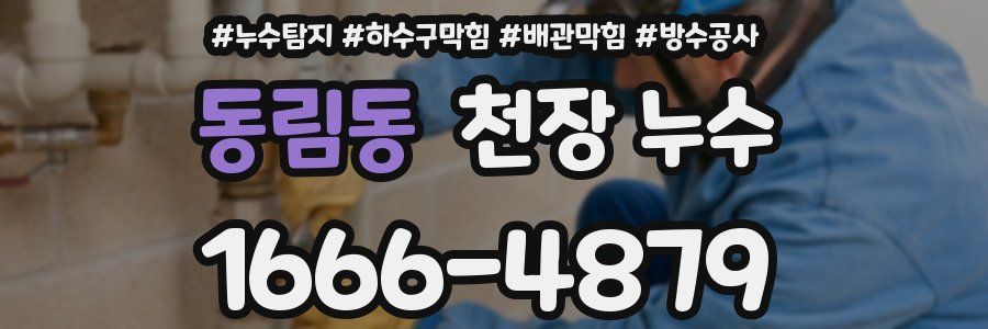 동림동 천장 누수
