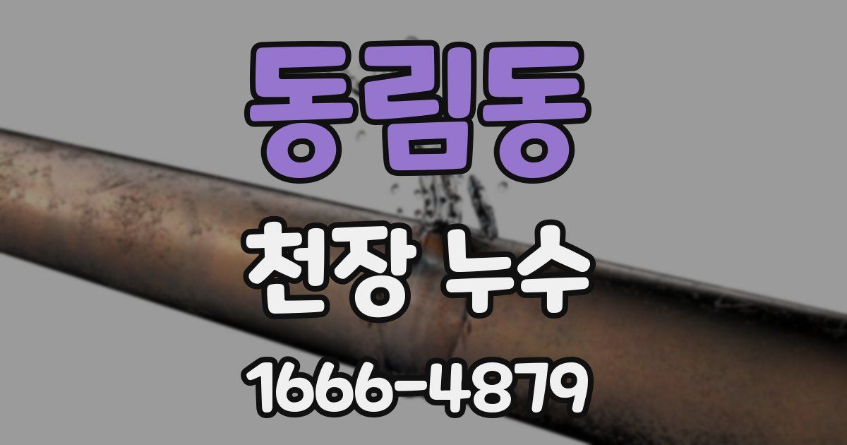동림동 천장 누수