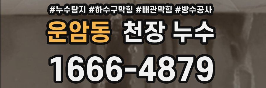 운암동 천장 누수