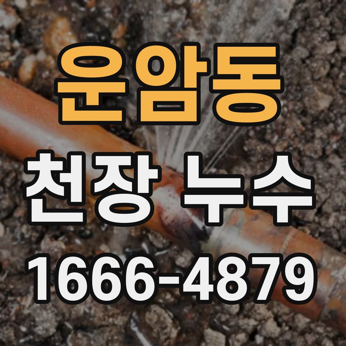 운암동 천장 누수