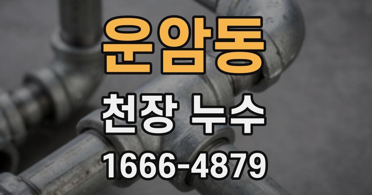 운암동 천장 누수