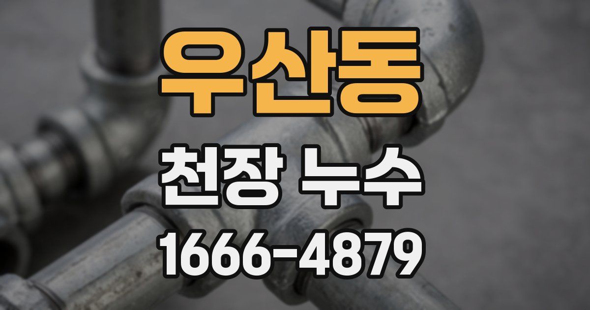 우산동 천장 누수
