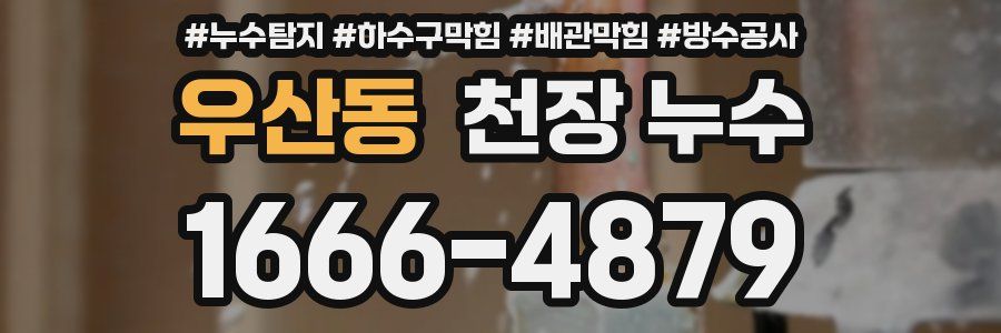 우산동 천장 누수