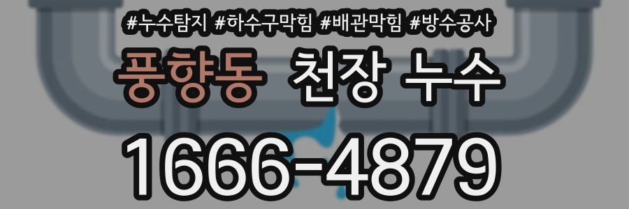 풍향동 천장 누수