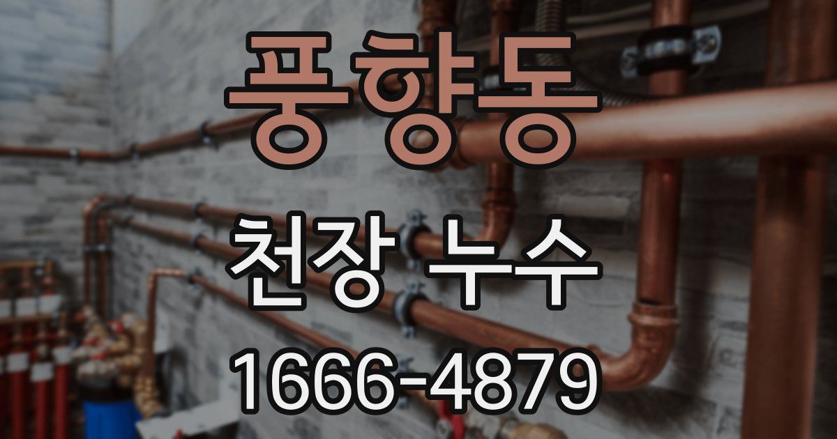 풍향동 천장 누수
