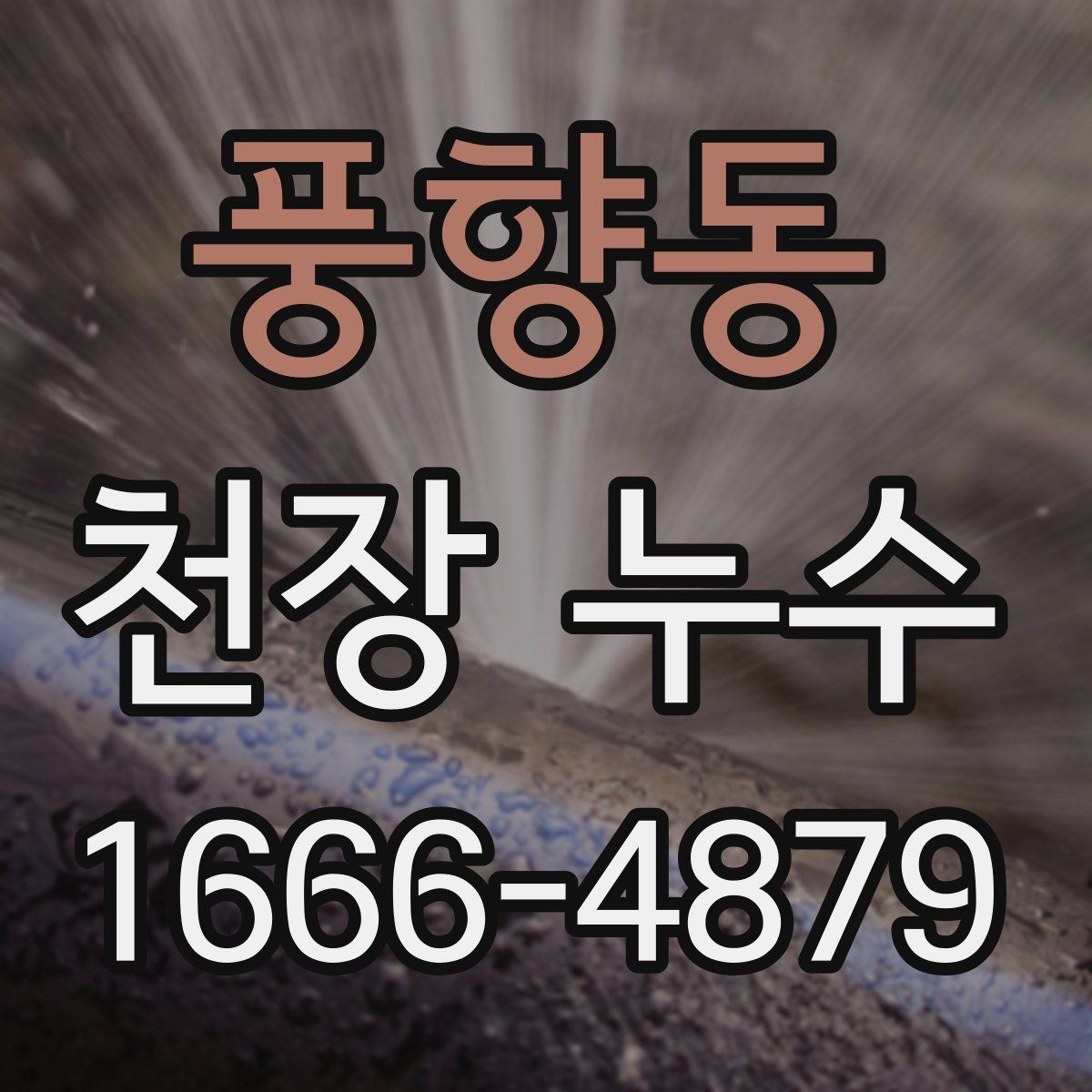 풍향동 천장 누수