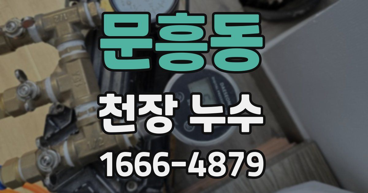 문흥동 천장 누수