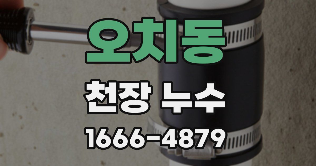 오치동 천장 누수