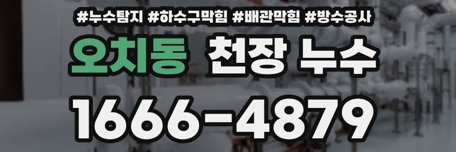 오치동 천장 누수