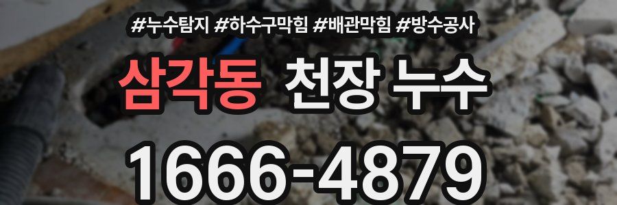 삼각동 천장 누수