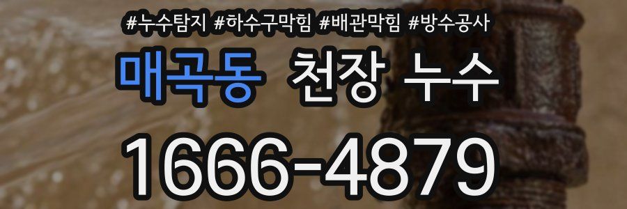 매곡동 천장 누수