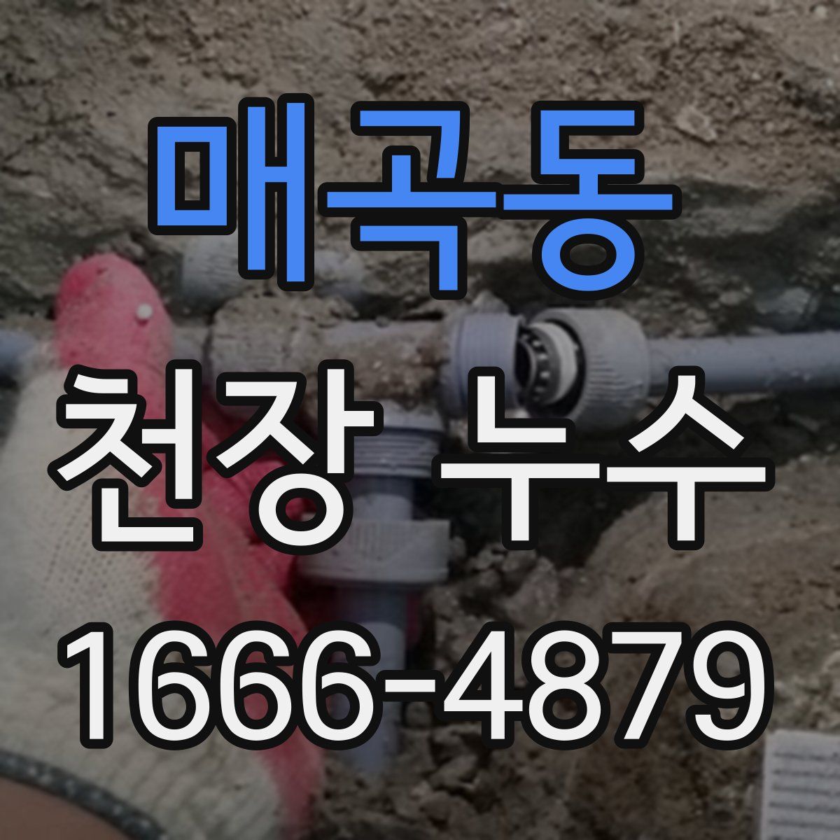 매곡동 천장 누수