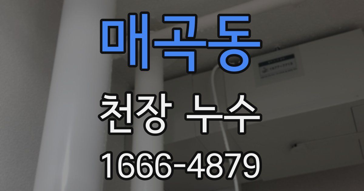 매곡동 천장 누수
