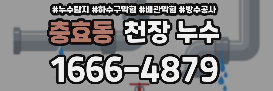 충효동 천장 누수