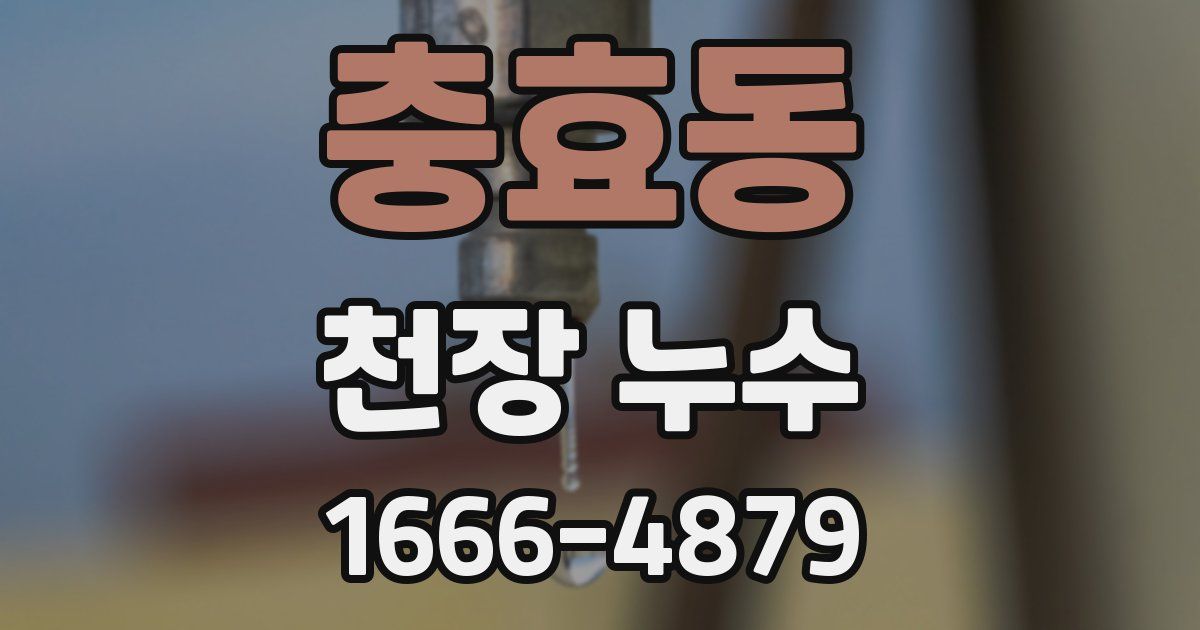 충효동 천장 누수