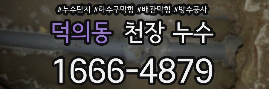 덕의동 천장 누수