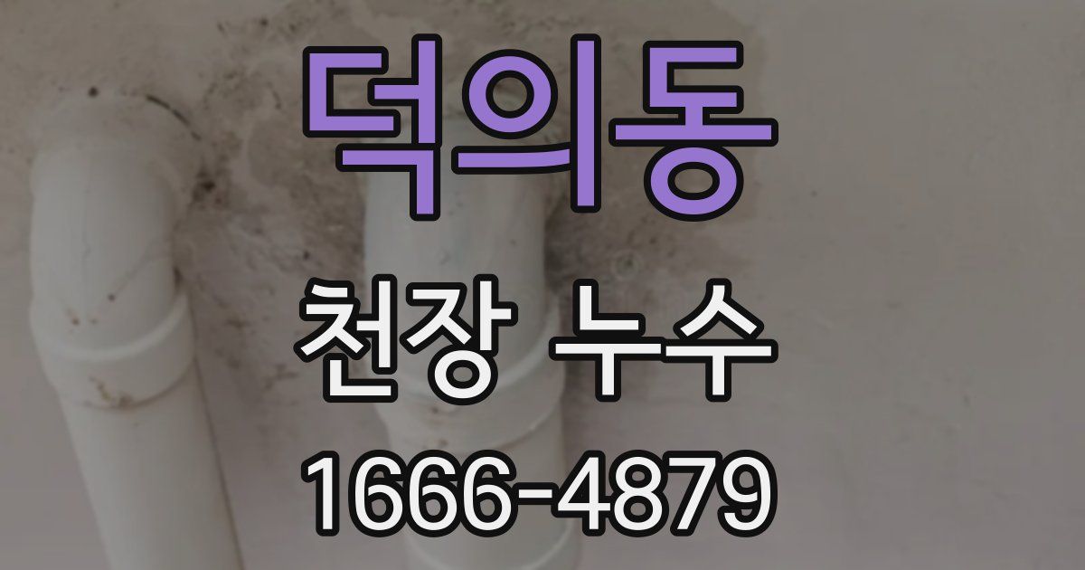 덕의동 천장 누수