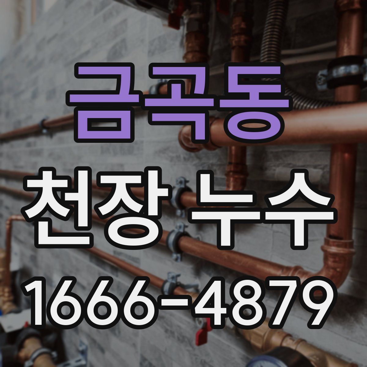 금곡동 천장 누수