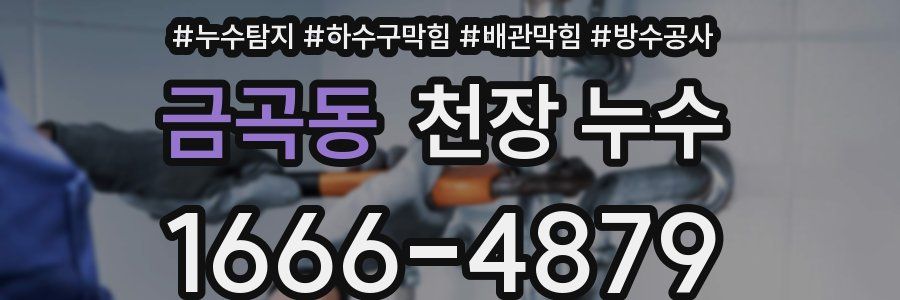 금곡동 천장 누수