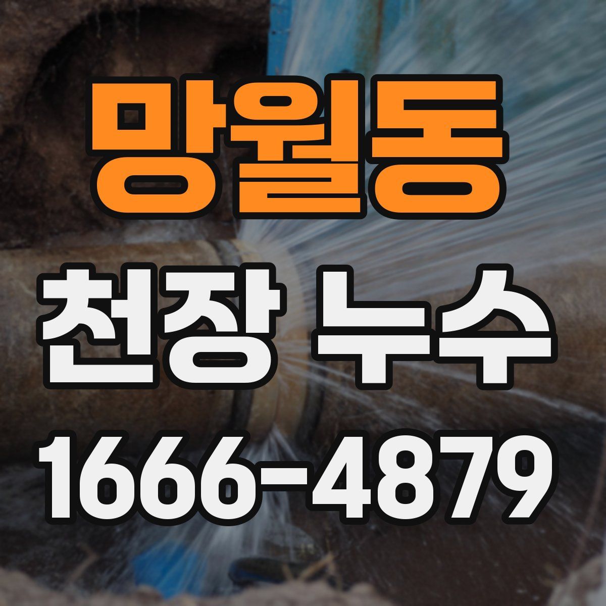 망월동 천장 누수