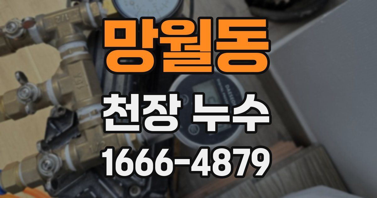 망월동 천장 누수