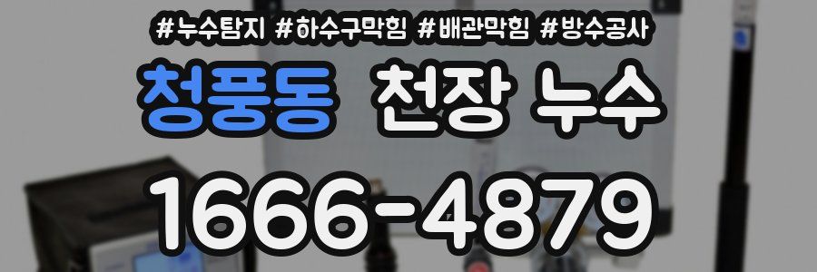 청풍동 천장 누수