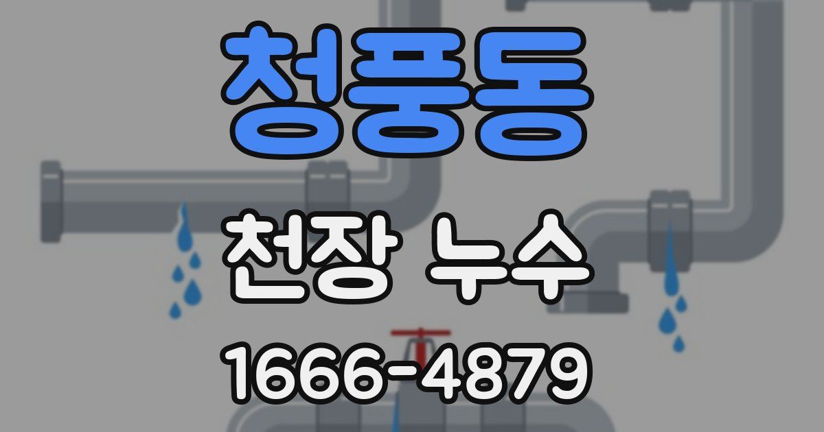 청풍동 천장 누수