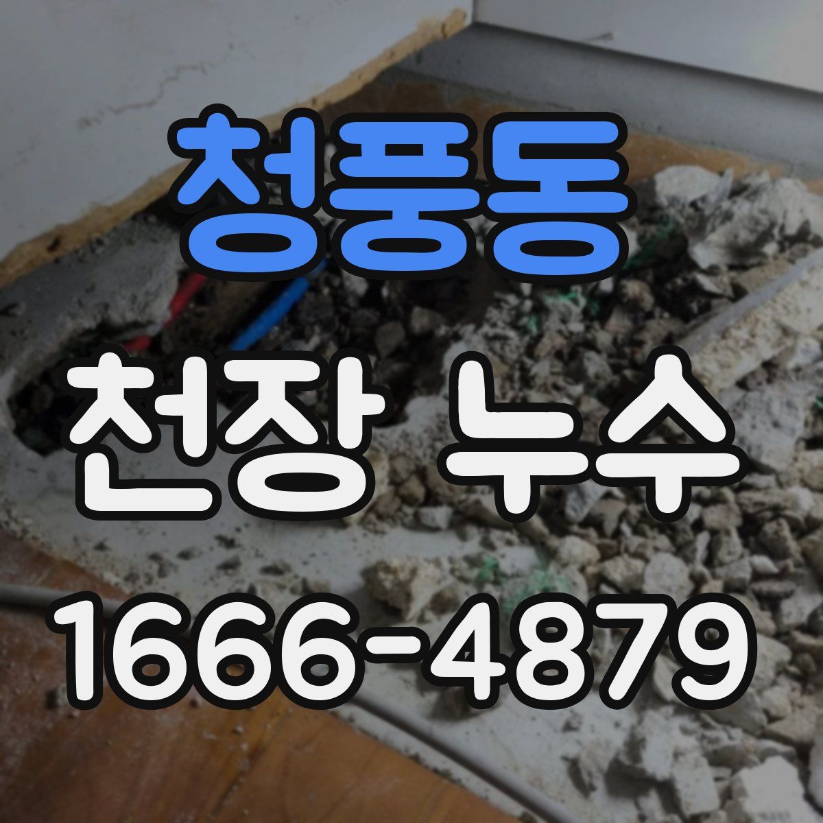 청풍동 천장 누수