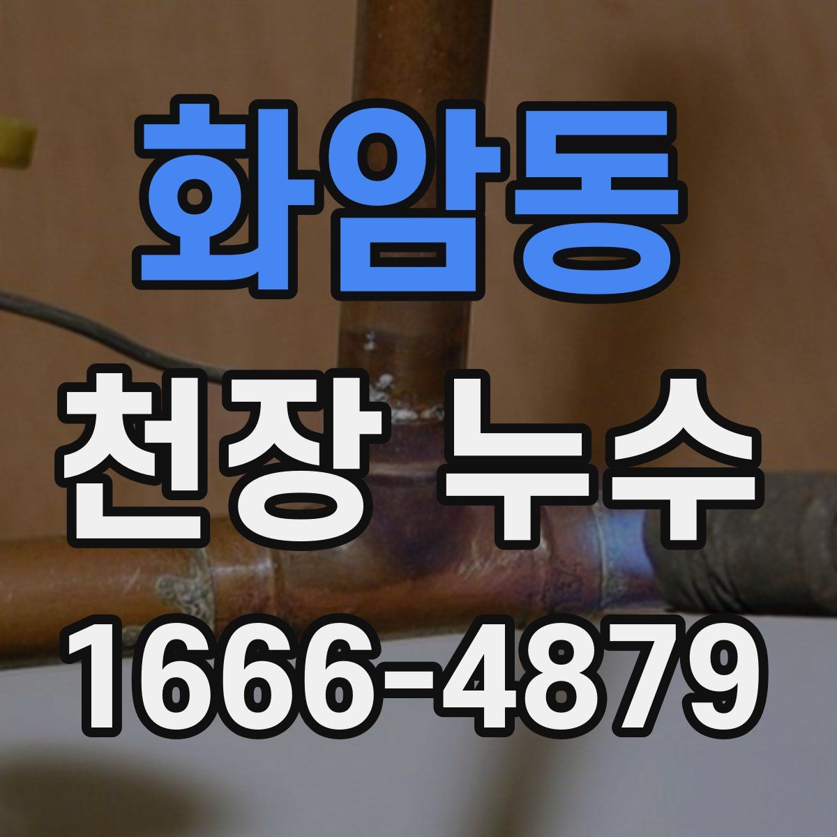화암동 천장 누수