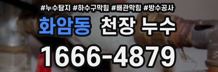 화암동 천장 누수
