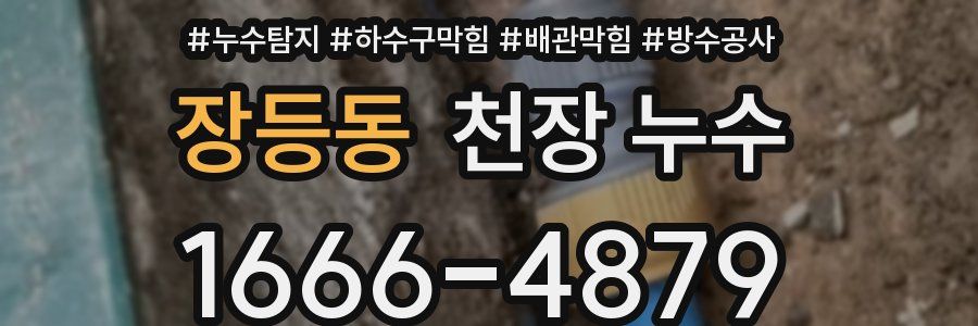 장등동 천장 누수