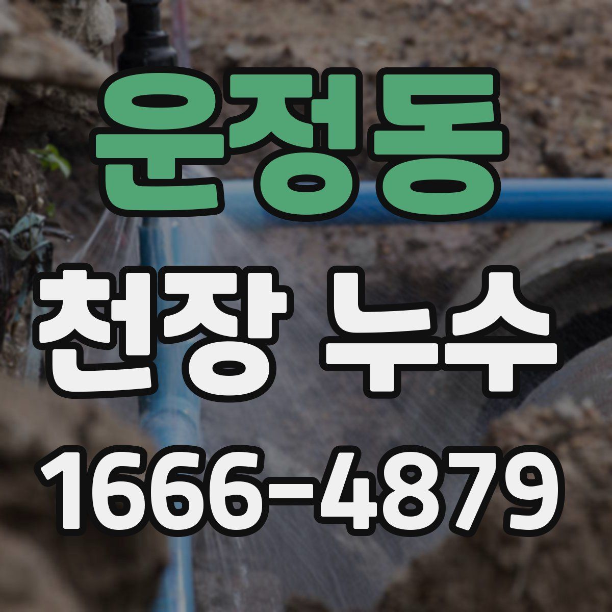 운정동 천장 누수