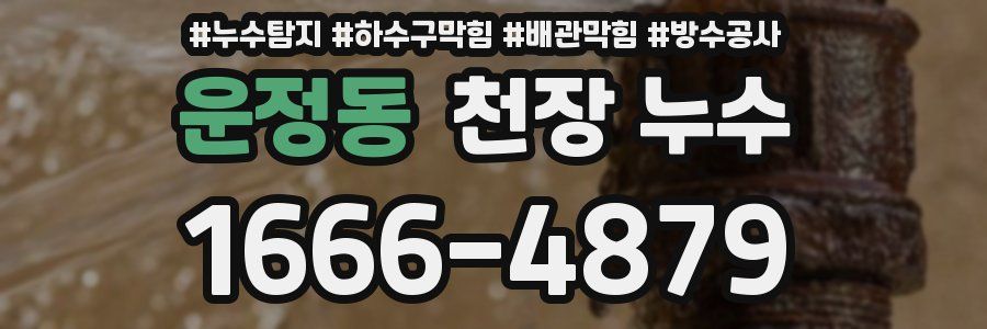 운정동 천장 누수