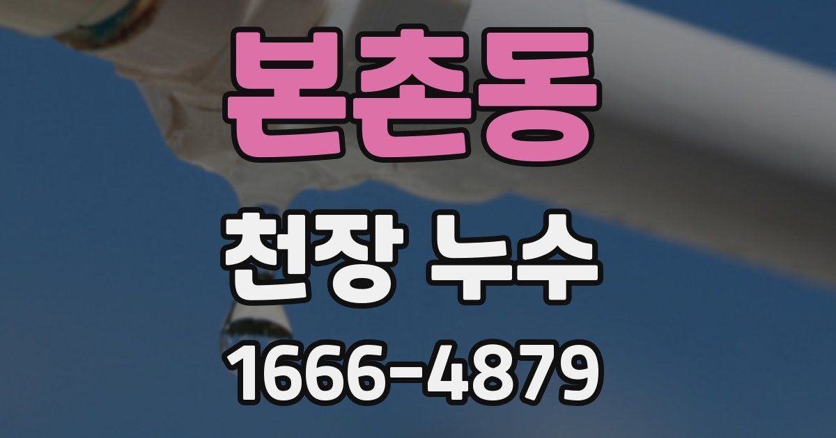 본촌동 천장 누수