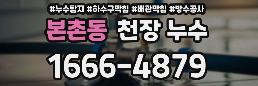 본촌동 천장 누수