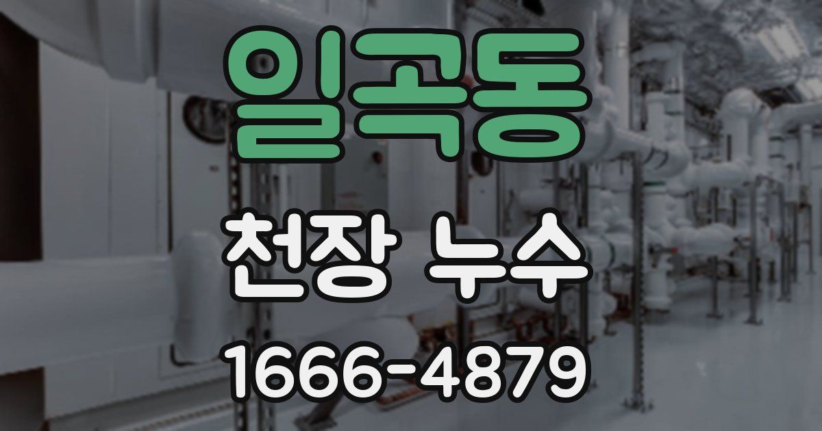 일곡동 천장 누수