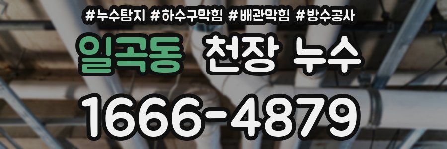 일곡동 천장 누수